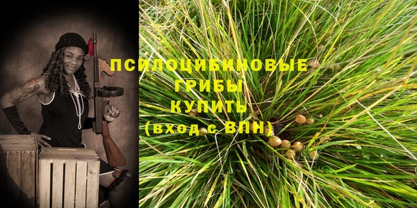 прущие грибы Арсеньев