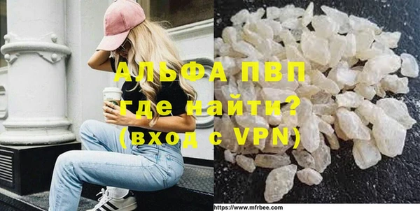 прущие грибы Арсеньев