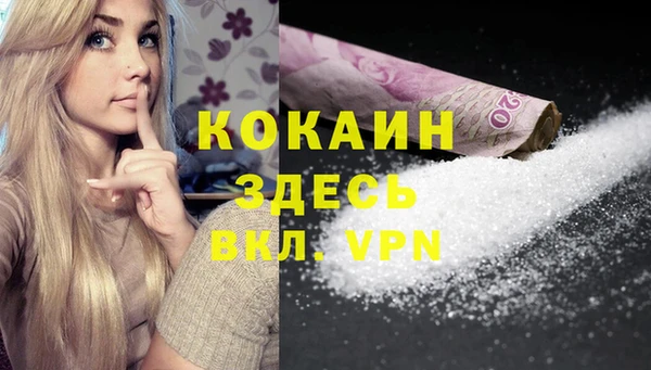 прущие грибы Арсеньев