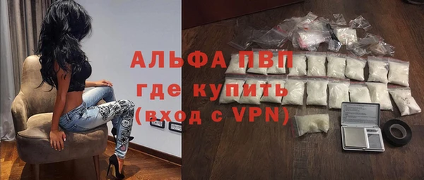 прущие грибы Арсеньев