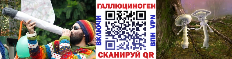 закладки Тайшет Псилоцибиновые грибы Psilocybine cubensis